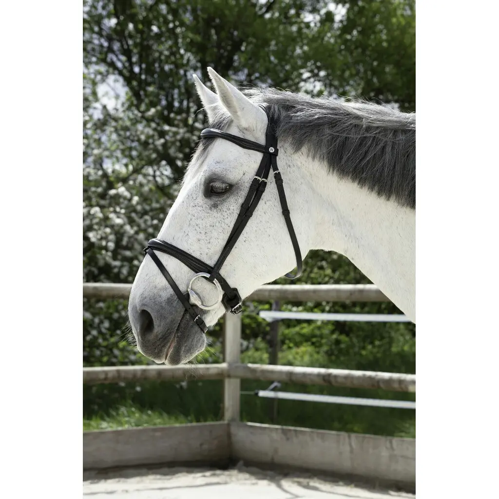 Norton Pro Noir Combination Bridles