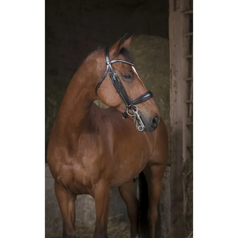 Comparer les prix de Bride Norton Pro