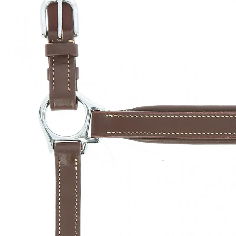 Halfter für Pferd Norton Pro Grooming