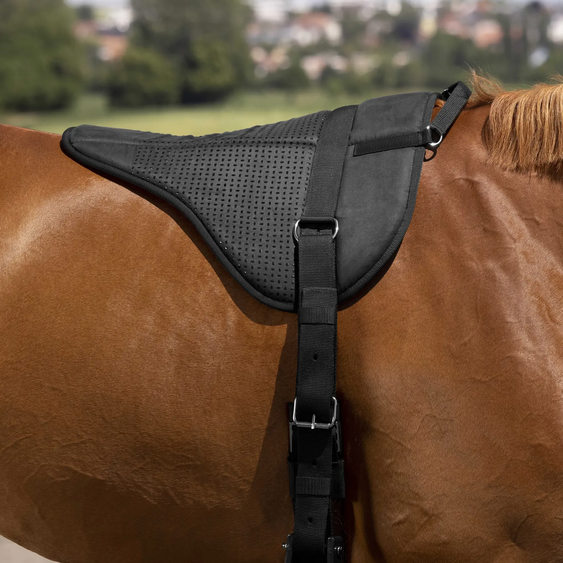 Tapis de monte à cru en silicone pour cheval Norton