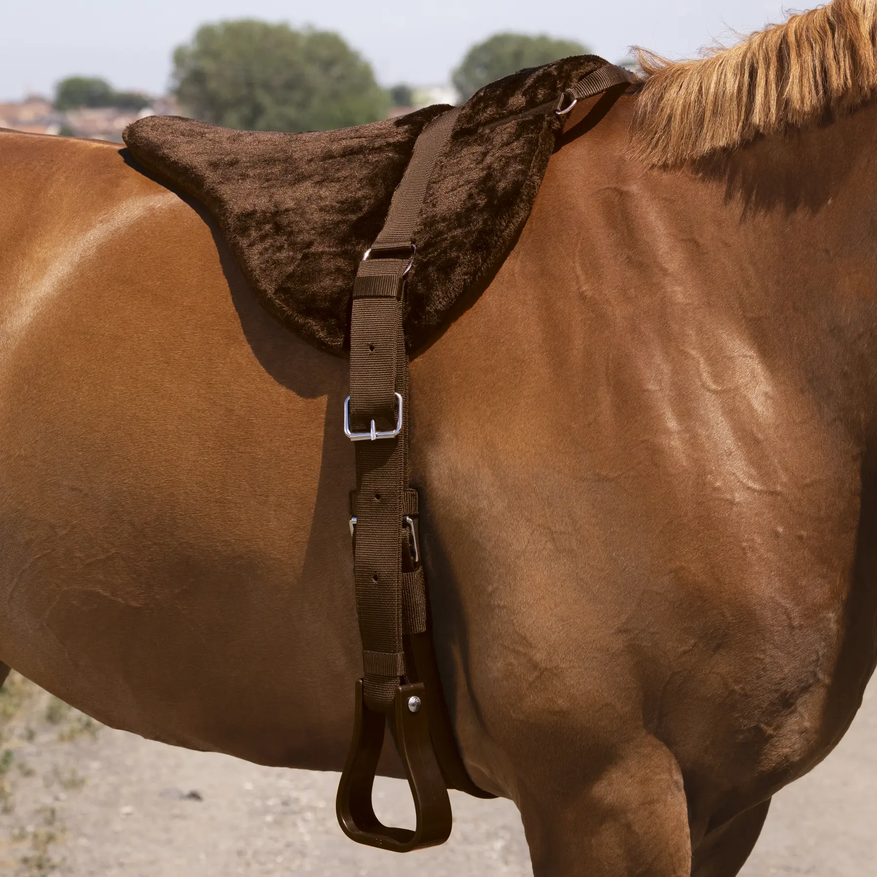 Norton Marron Saddle Pad For Bareback Riding Horses