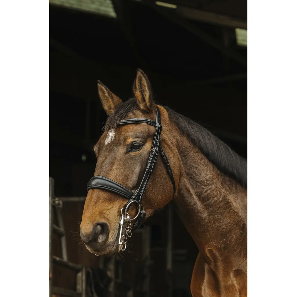 Norton Noir Anatomical Riding Bridles Basal