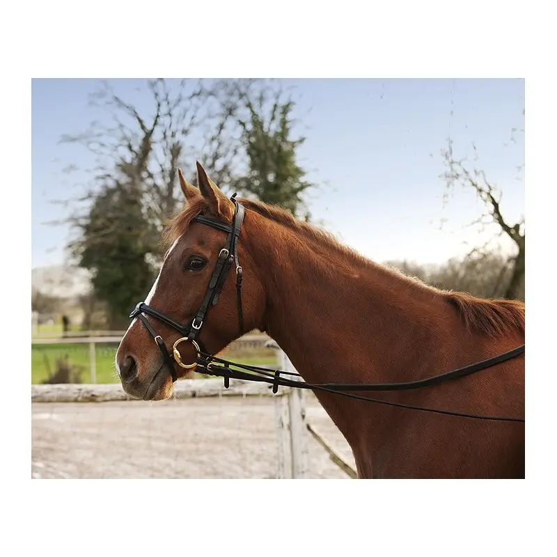 Meilleurs prix pour Enrênement pour cheval long éducatif élastique Norton