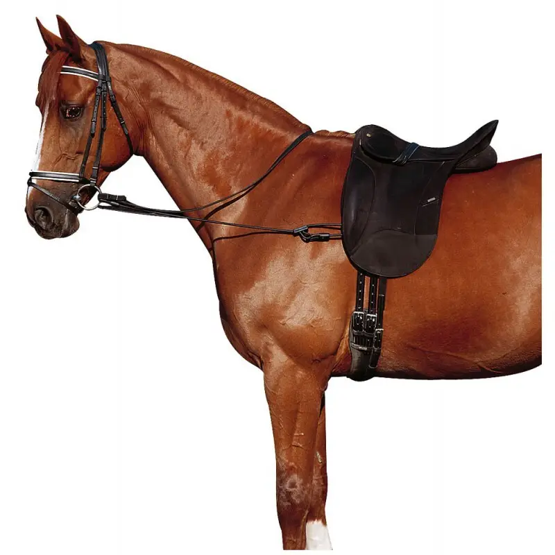 Enrênement pour cheval élastique réglable Norton