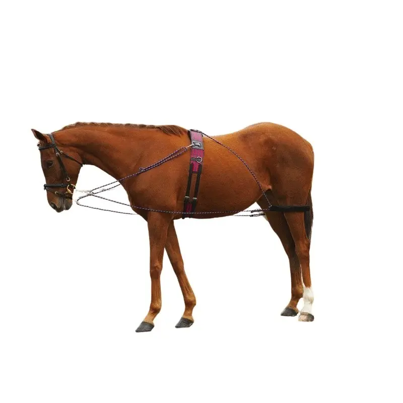 Enrênement pour longe cheval à poulies Norton