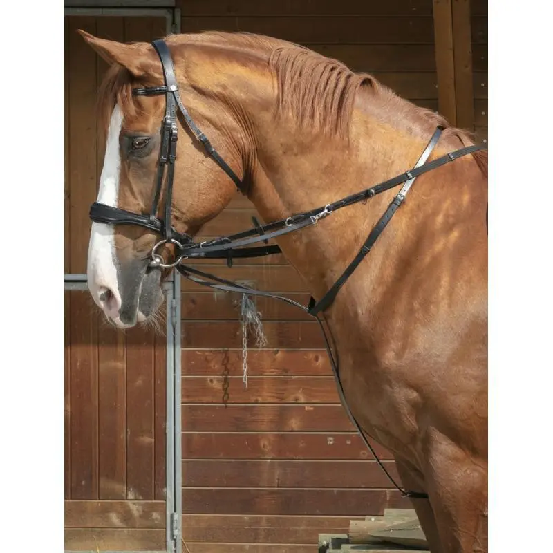 Enrênement pour longe cheval Norton Thiedeman