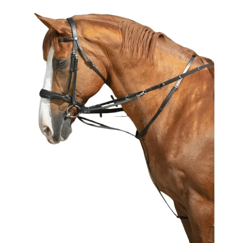 Enrênement pour longe cheval Norton Thiedeman Pro