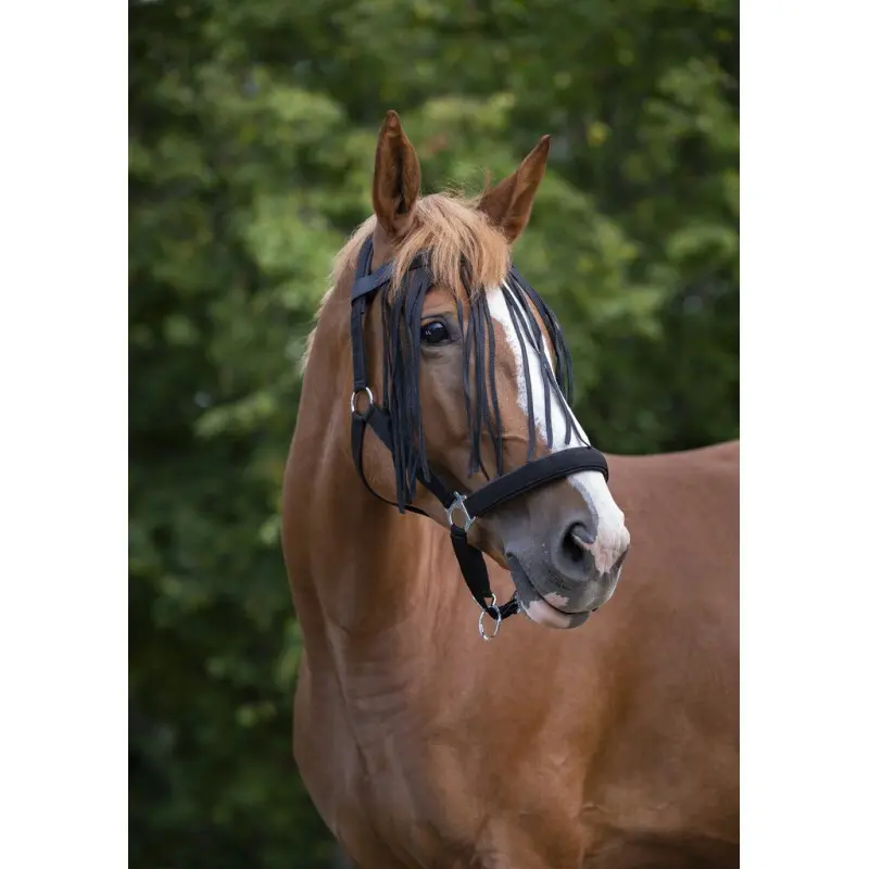 Stirnband für Pferd Norton Chasse-mouches
