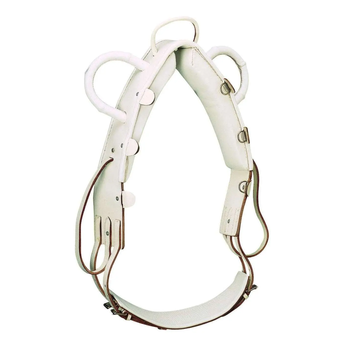 Norton Blanc Vaulting Horse Surfaix