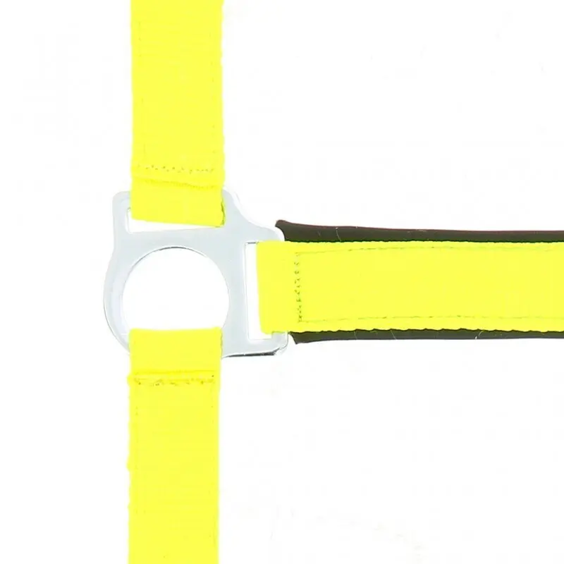 Norton Jaune Halter For Horse Fluo