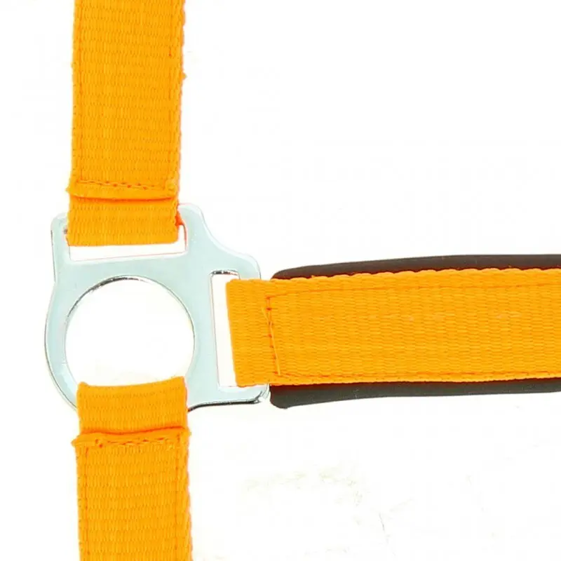 Norton Orange Halter For Horse Fluo