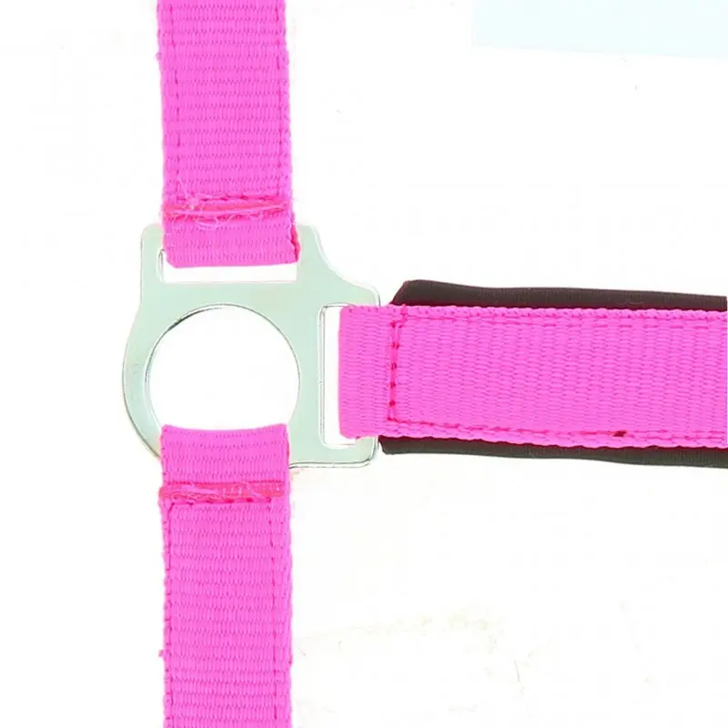 Norton Rose Halter For Horse Fluo