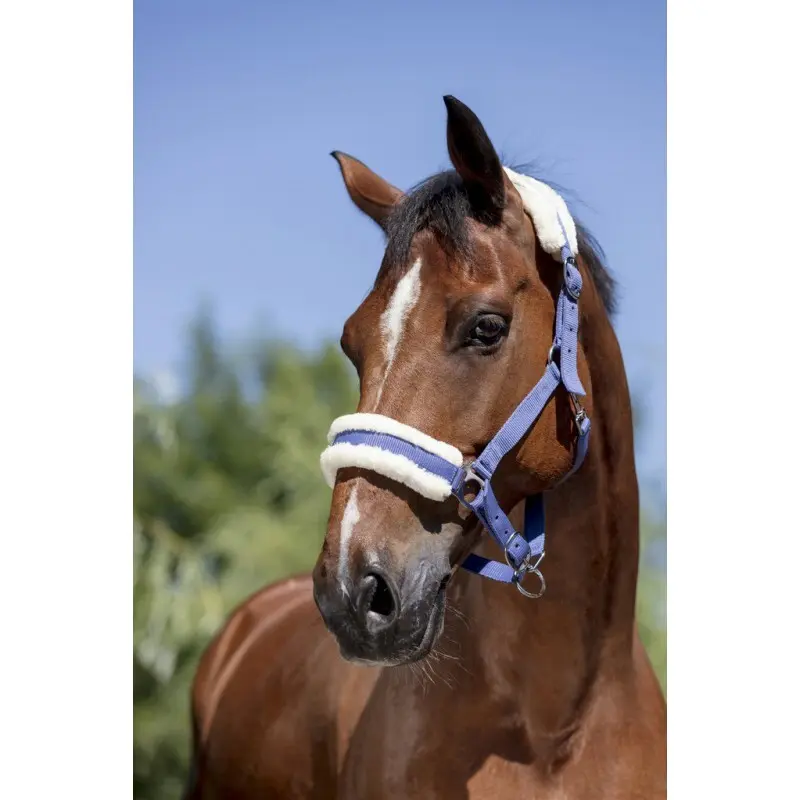 Licol pour cheval Norton Mouton Synthétique Doux