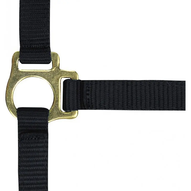 Norton Noir Halter For Foal And Lead Rope