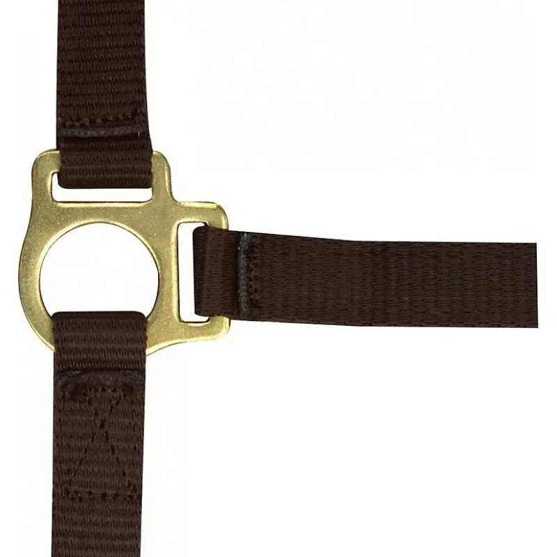 Norton Marron Halter For Foal And Lead Rope