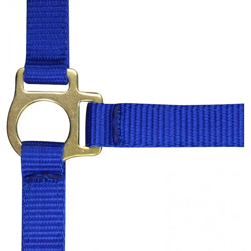 Norton Bleu Halter For Foal And Lead Rope