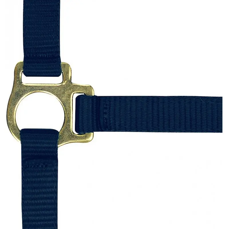 Norton Bleu Halter For Foal And Lead Rope