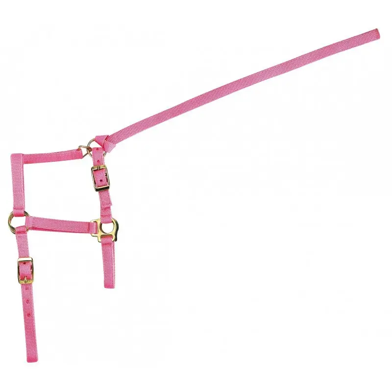 Comparer les prix de Licol pour poulain et longe Norton