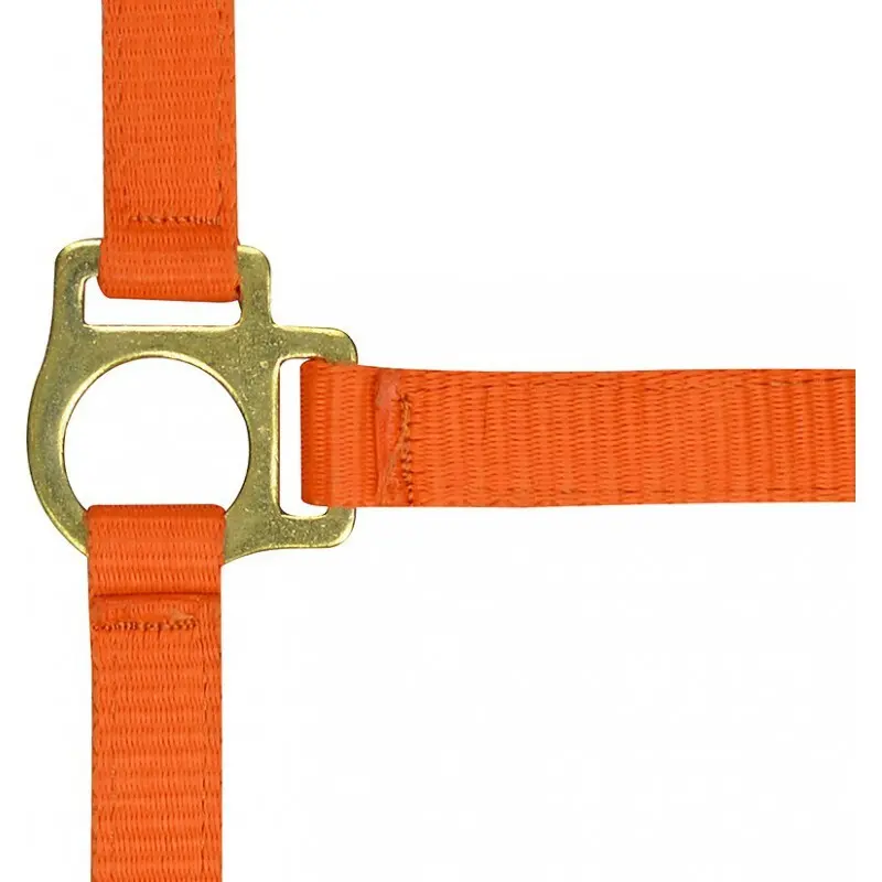 Norton Orange Halter For Foal And Lead Rope