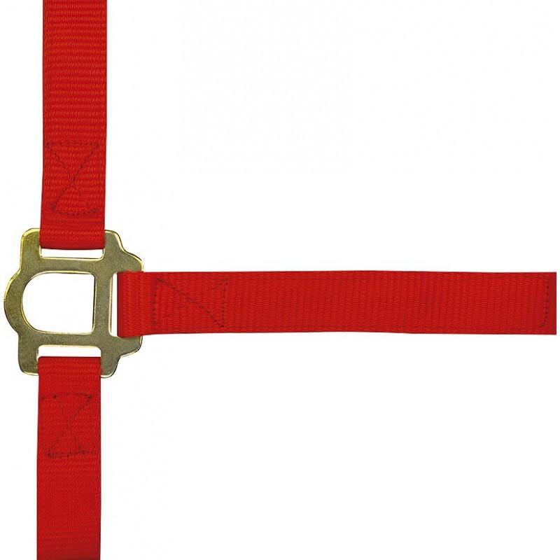 Comparer les prix de Licol fermetures à boucles pour cheval Norton