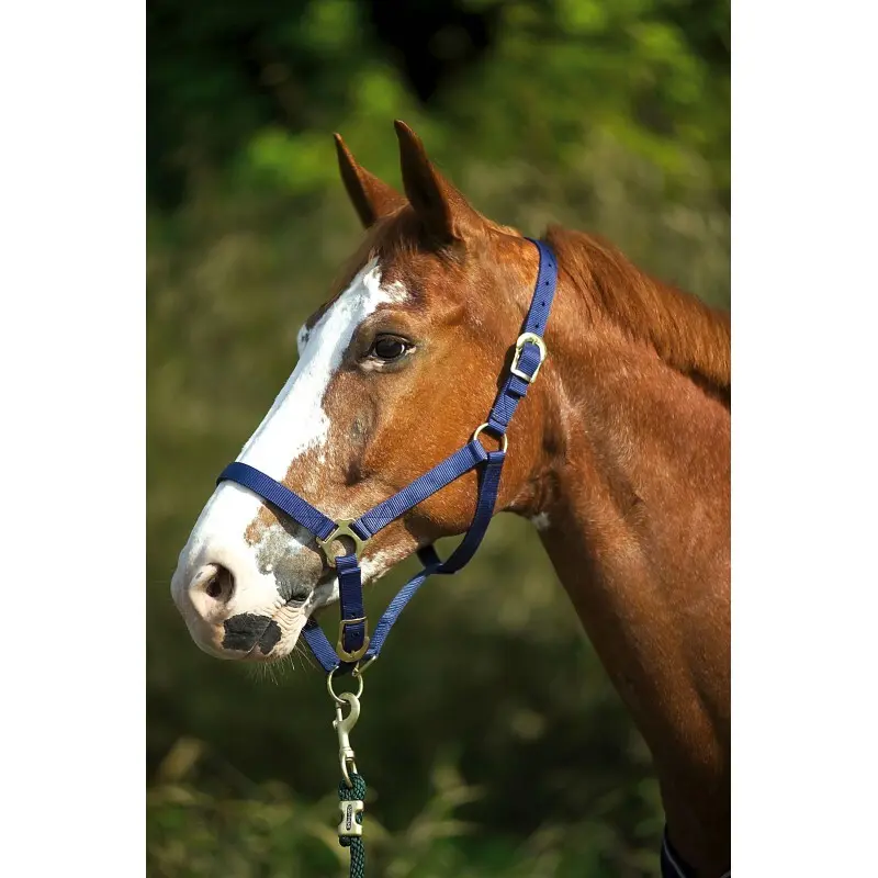 Comparer les prix de Licol fermetures à boucles pour cheval Norton