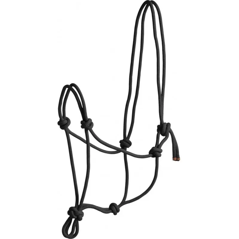 Norton Noir First Horse Halter