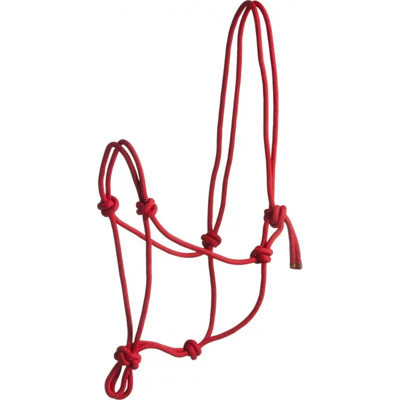 Norton Rouge Halter For Horse First