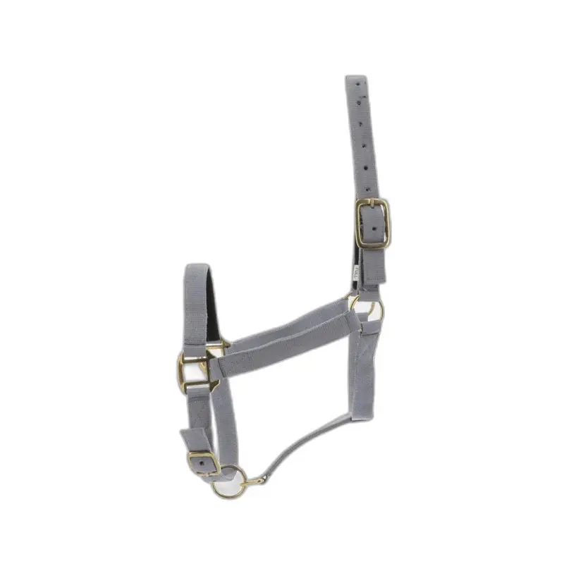 Norton Turquoise Halter Doublé Cuir