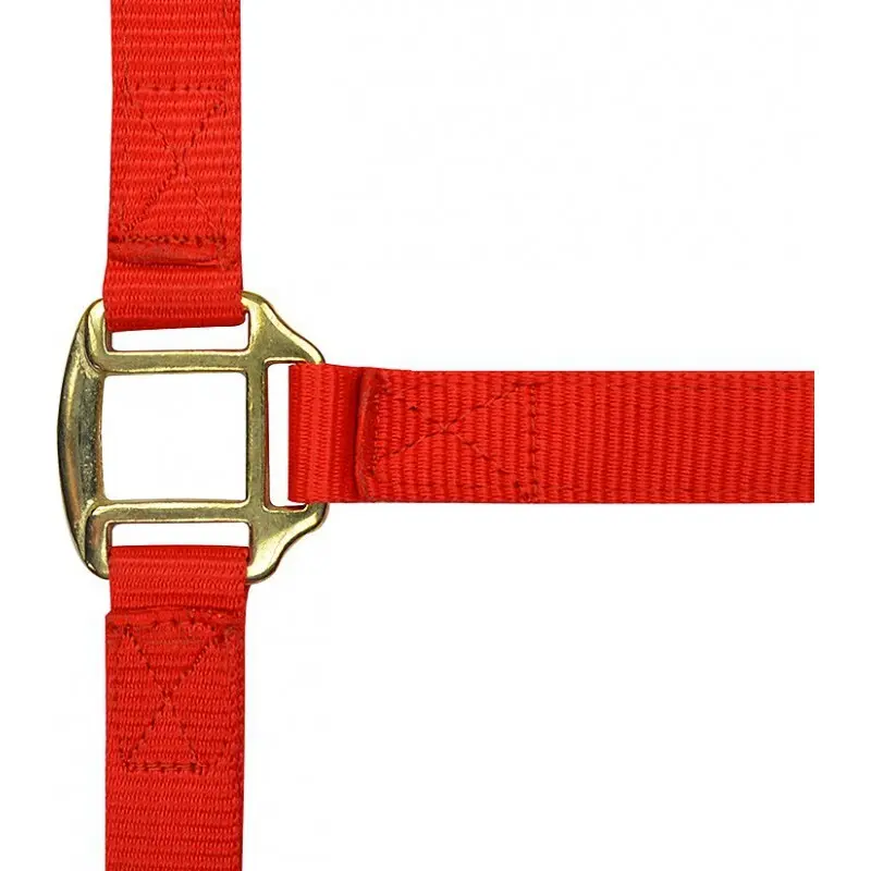 Norton Rouge Halter For Horse Double Leather