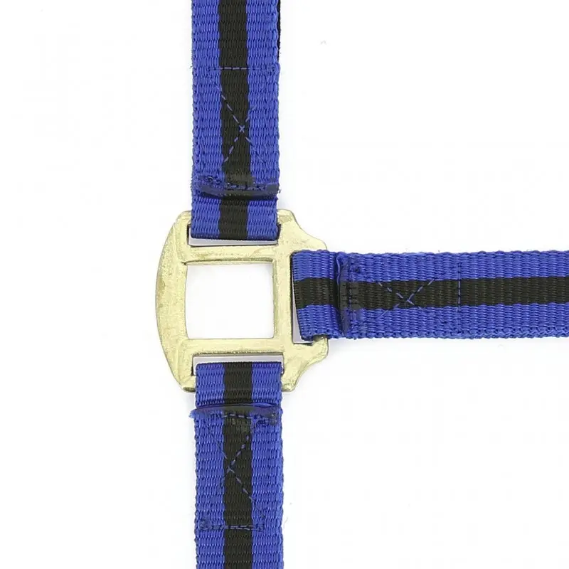 Norton Bleu Halter For Horse Double Leather