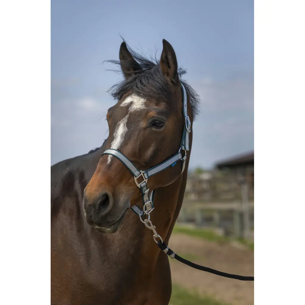 Licol pour cheval en nylon doux Norton