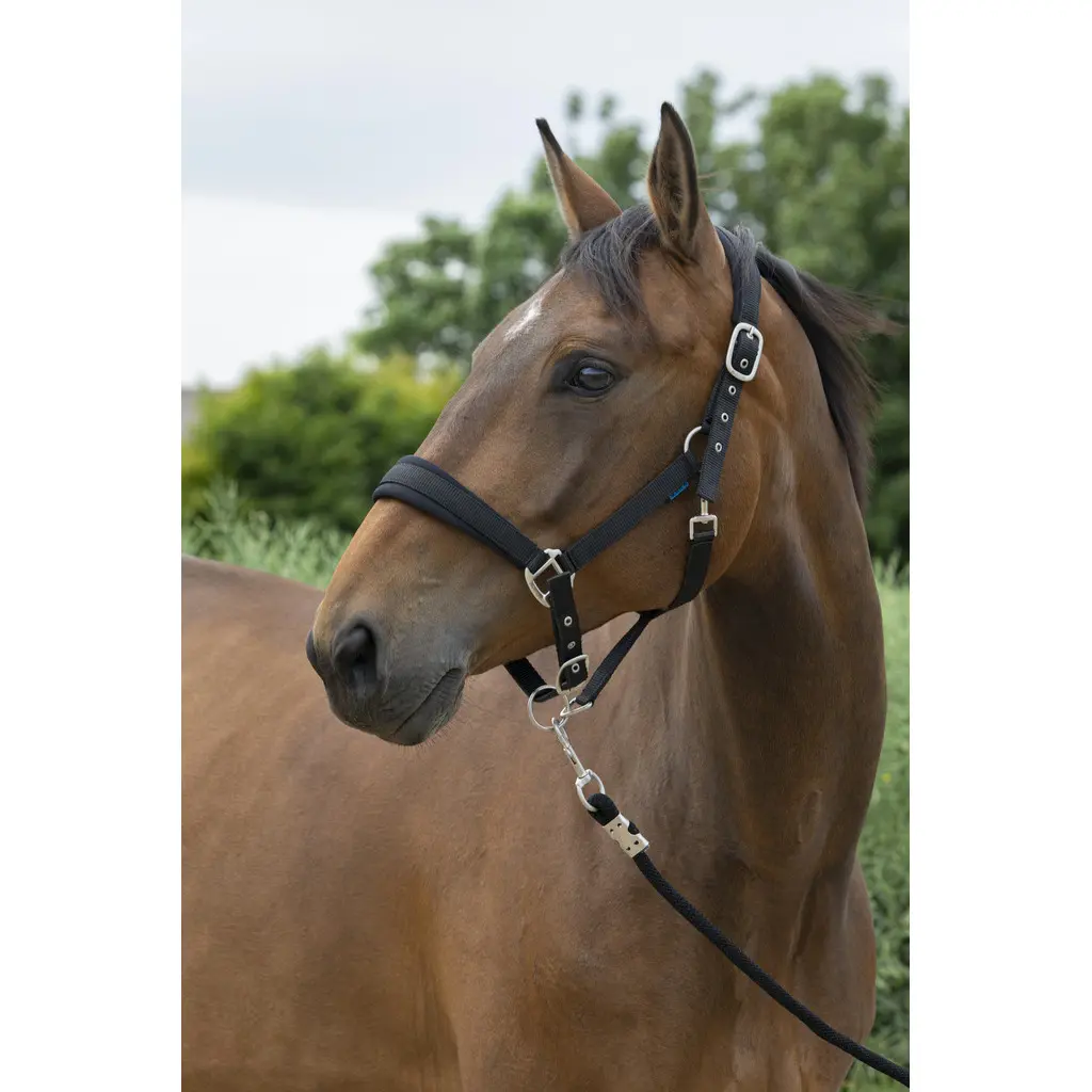Norton Noir Halter And Lead Rope Set For Large Horses