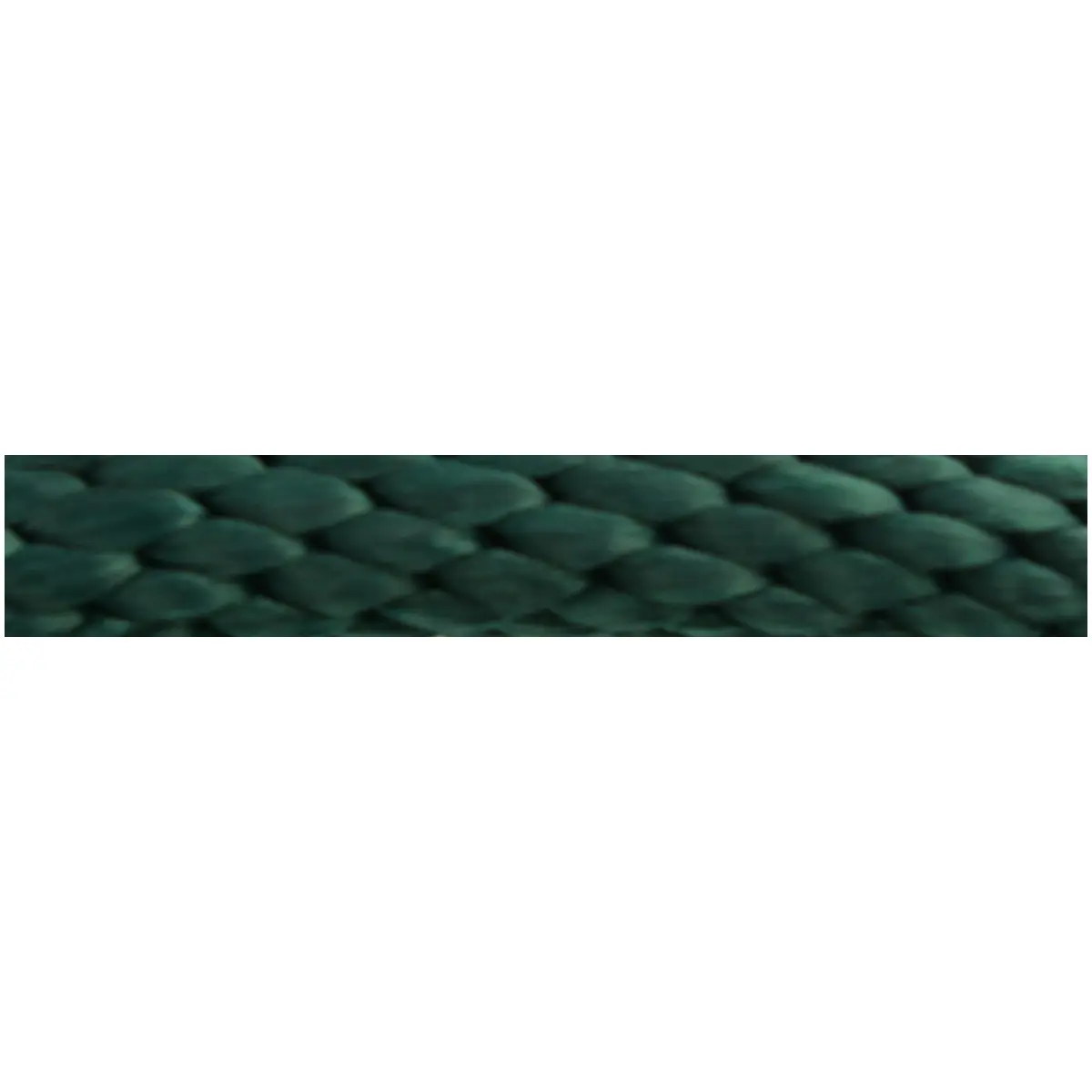Norton Vert Lanyard For Horse Bright