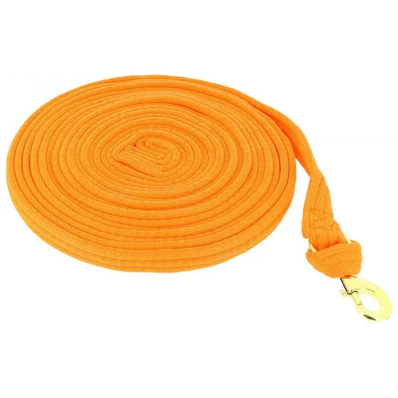 Norton Orange Lanyard For Horse Fluo