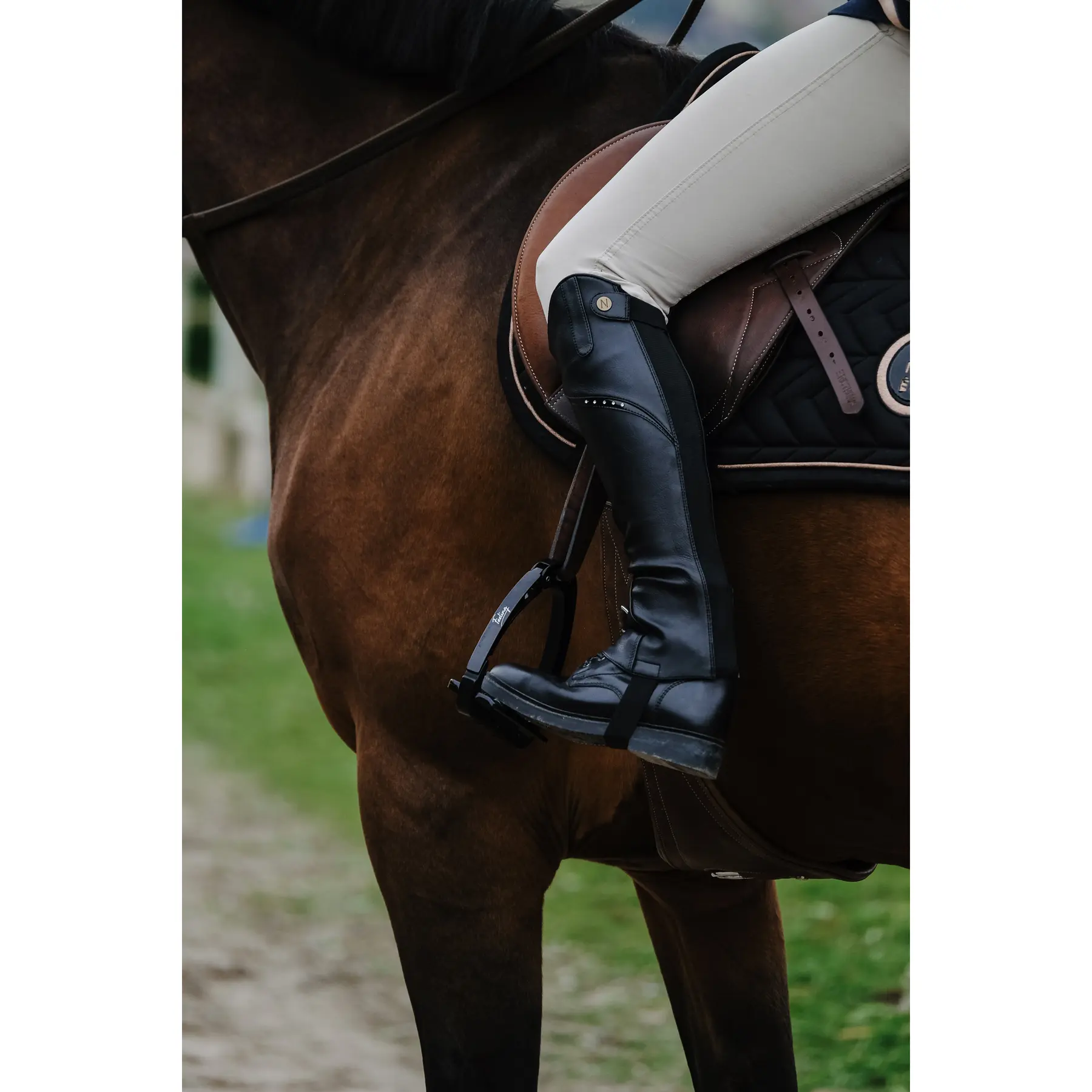 Comparer les prix de Mini-chaps Norton Bright