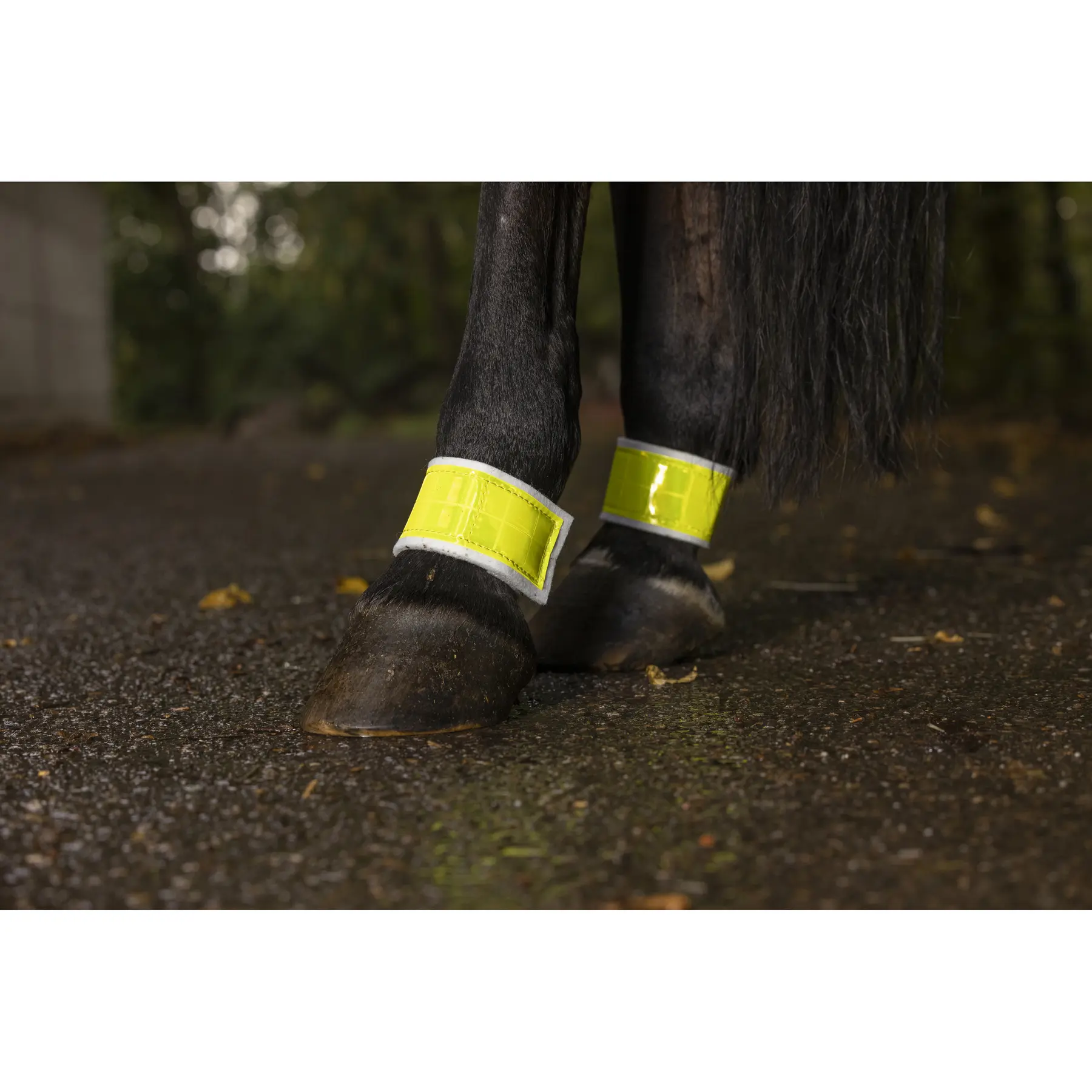 Paire de bandages élastique pour cheval pour postérieurs Norton