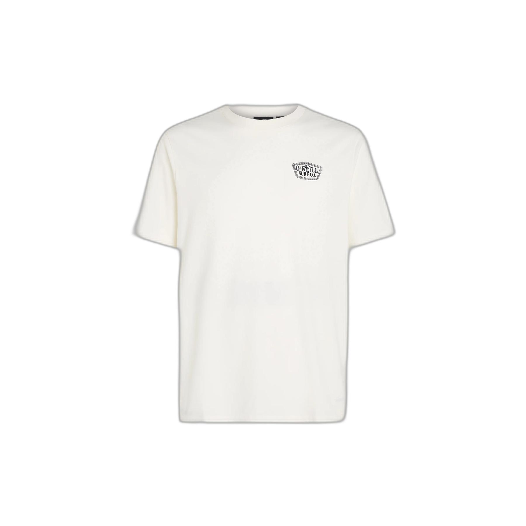 8720388627676 - T-Shirt ONeill Small Chest Print