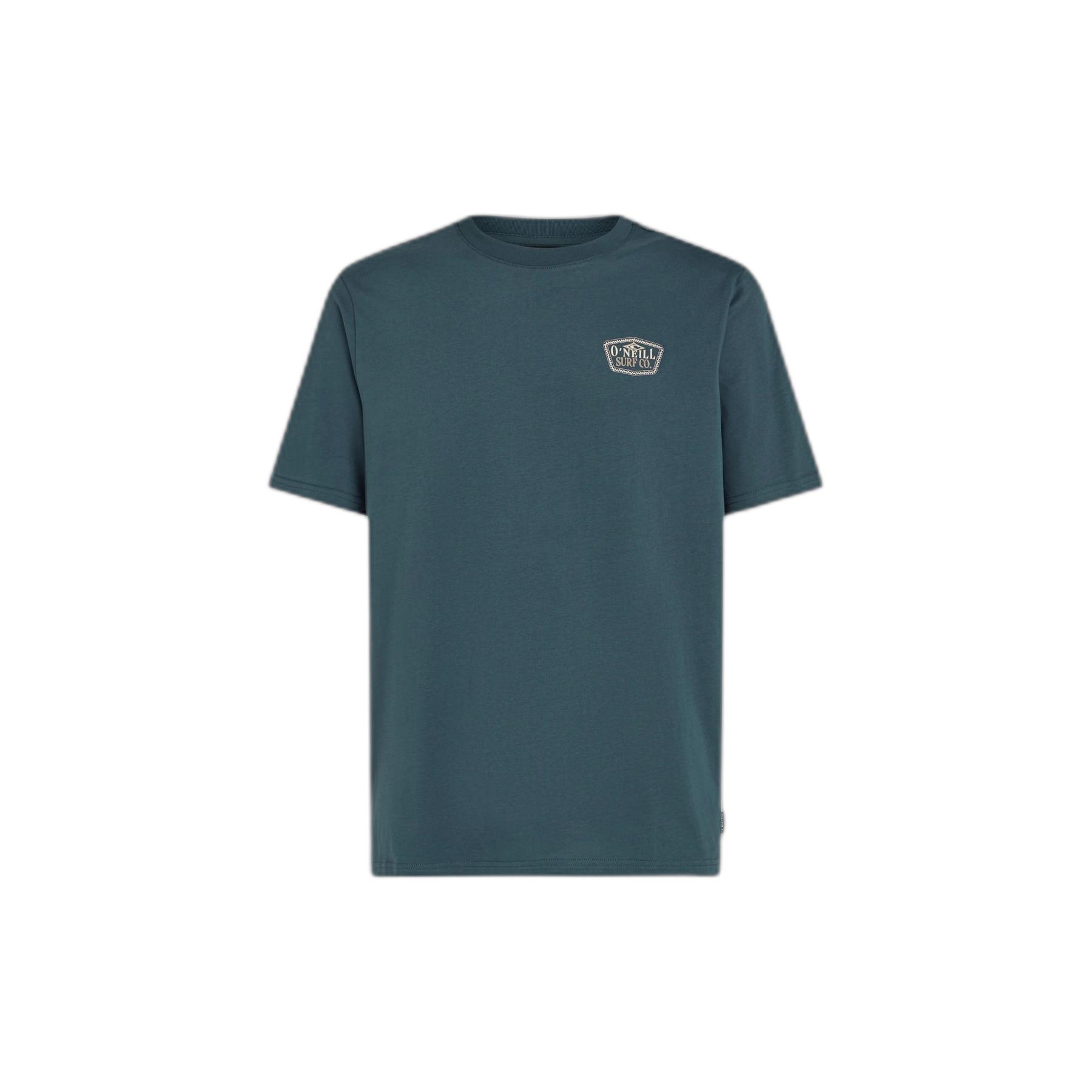 8720388627713 - T-Shirt ONeill Small Chest Print