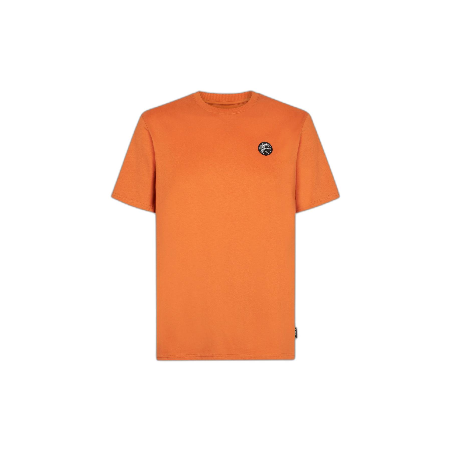 8720388684426 - T-Shirt ONeill Originals Badge