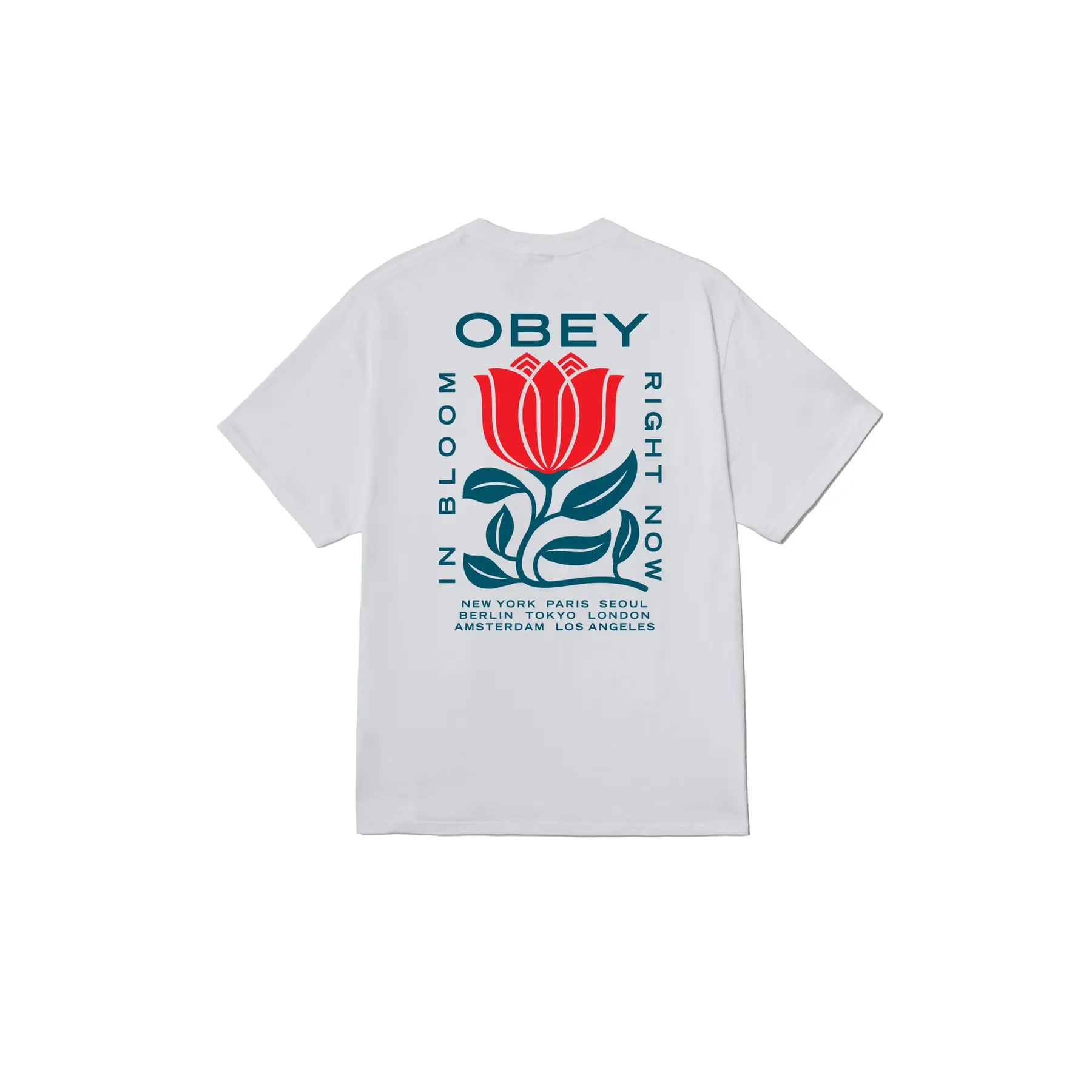 0197812191733 - T-Shirt In Bloom