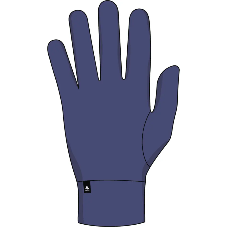Handschuhe Odlo Active Warm