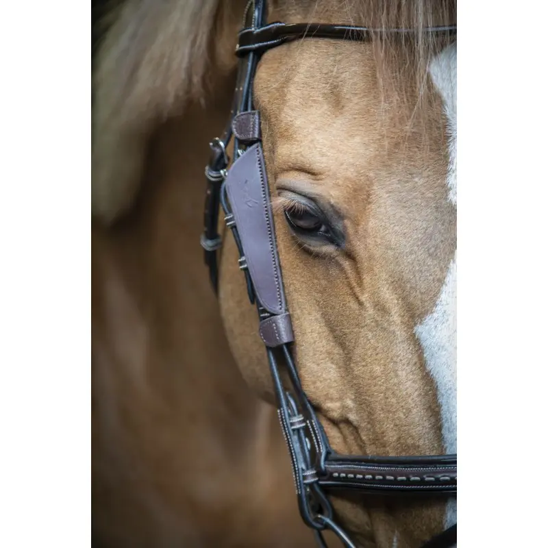 Pénélope Marron Blinkers For Horses Blinkers