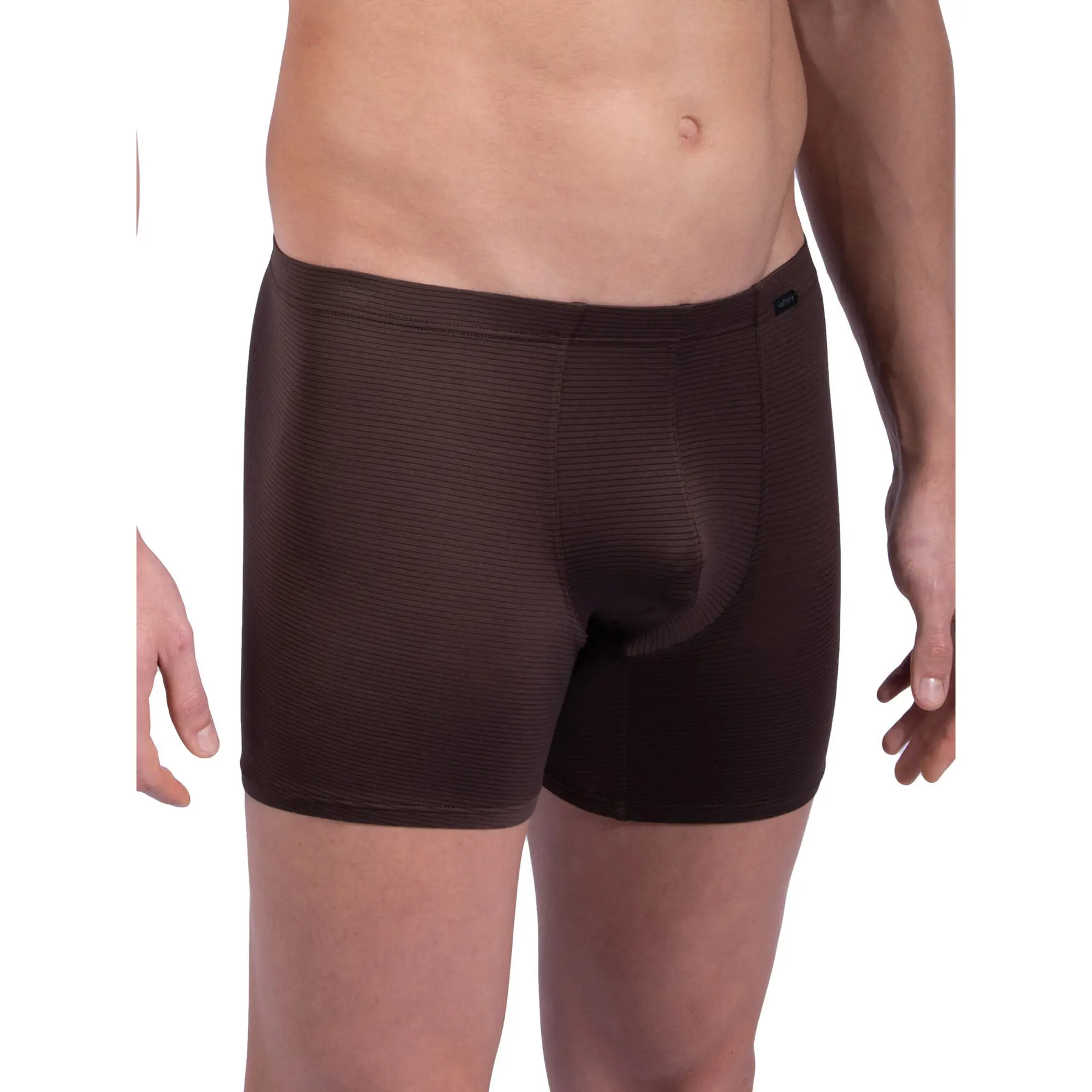 Image of Boxer Olaf Benz Red1201