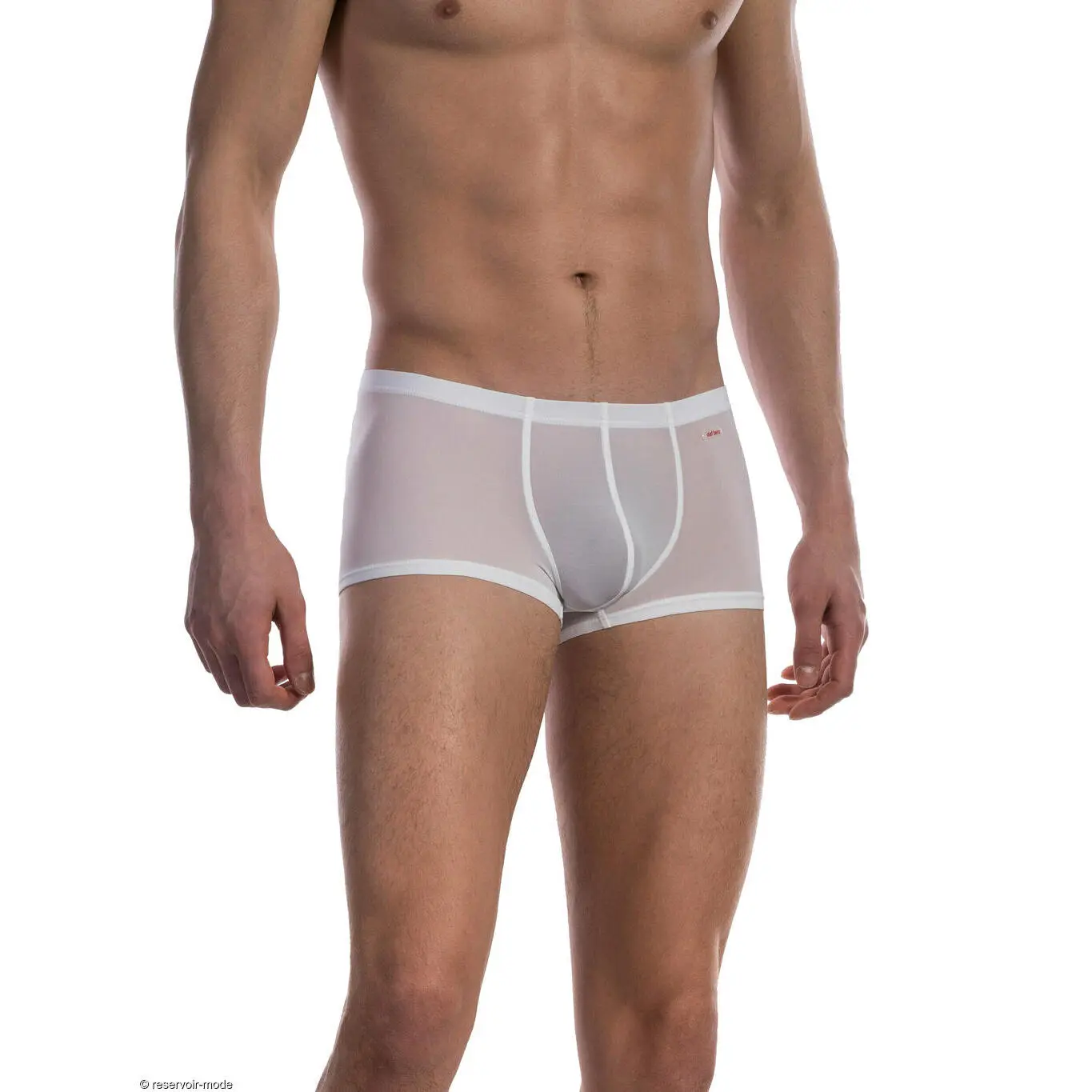 Image of Boxer Olaf Benz Red0965