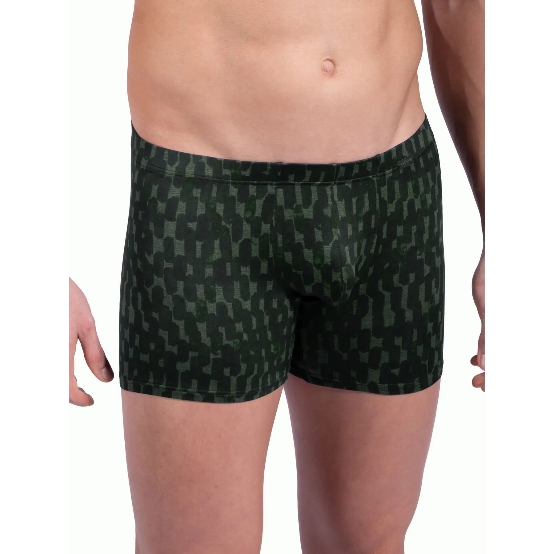 Image of Boxer Olaf Benz Red2308