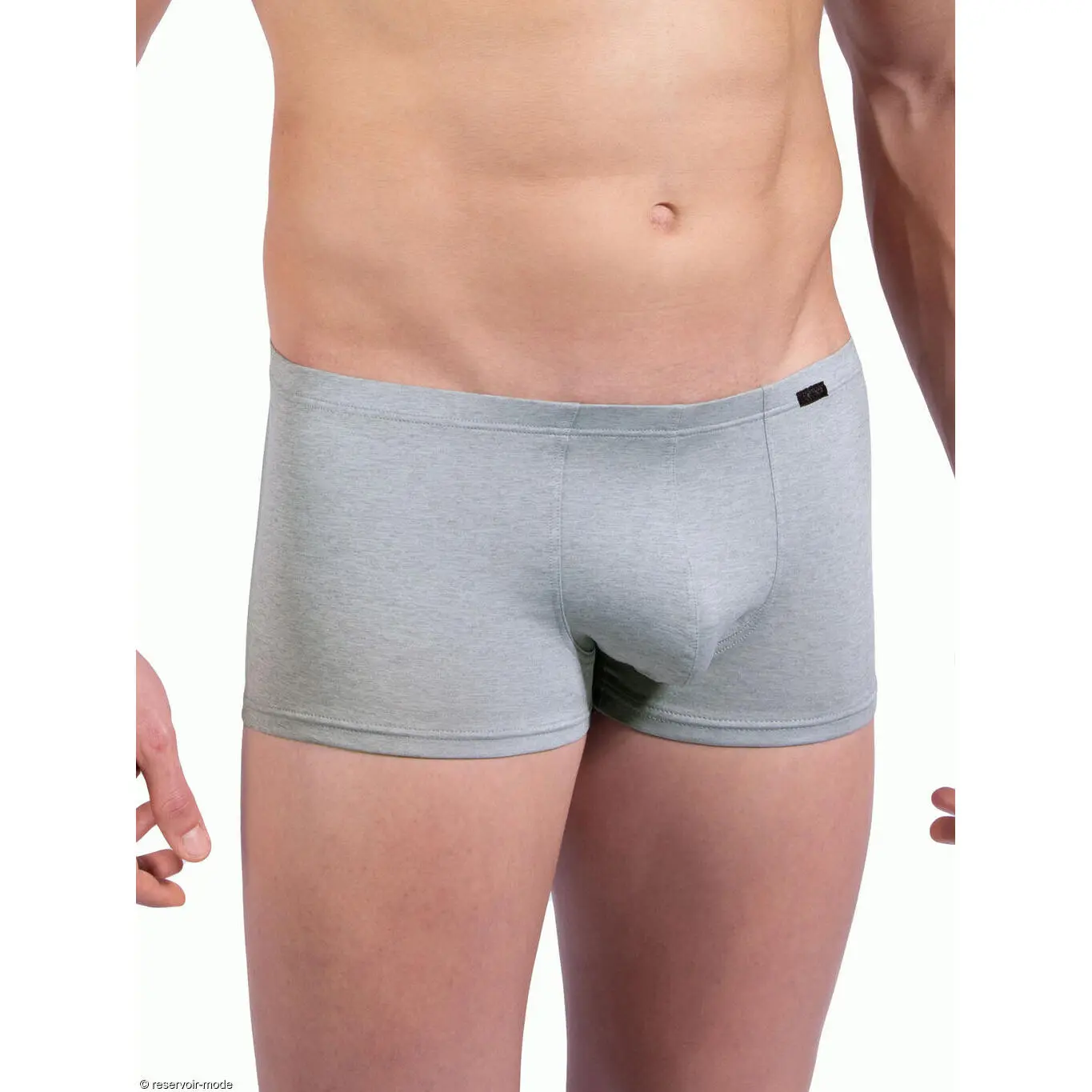 Image of Boxer Olaf Benz Red2309