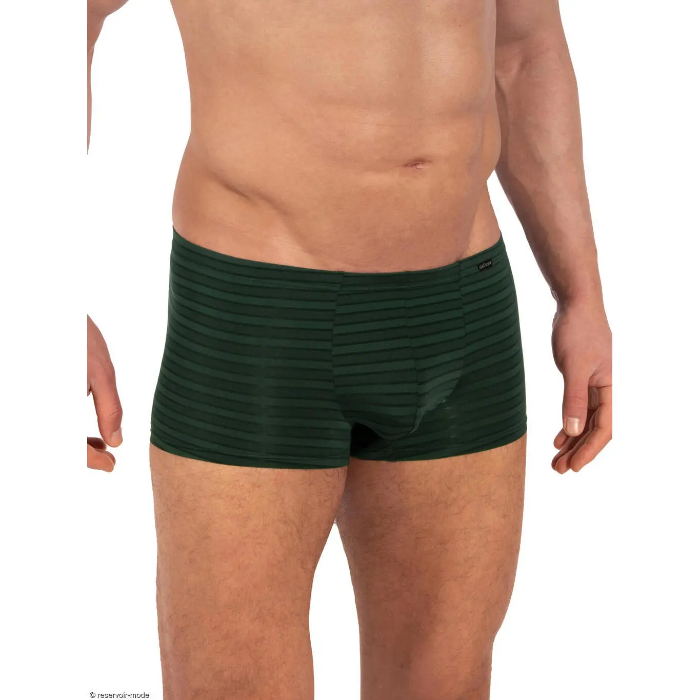 Image of Boxer Olaf Benz Red2329