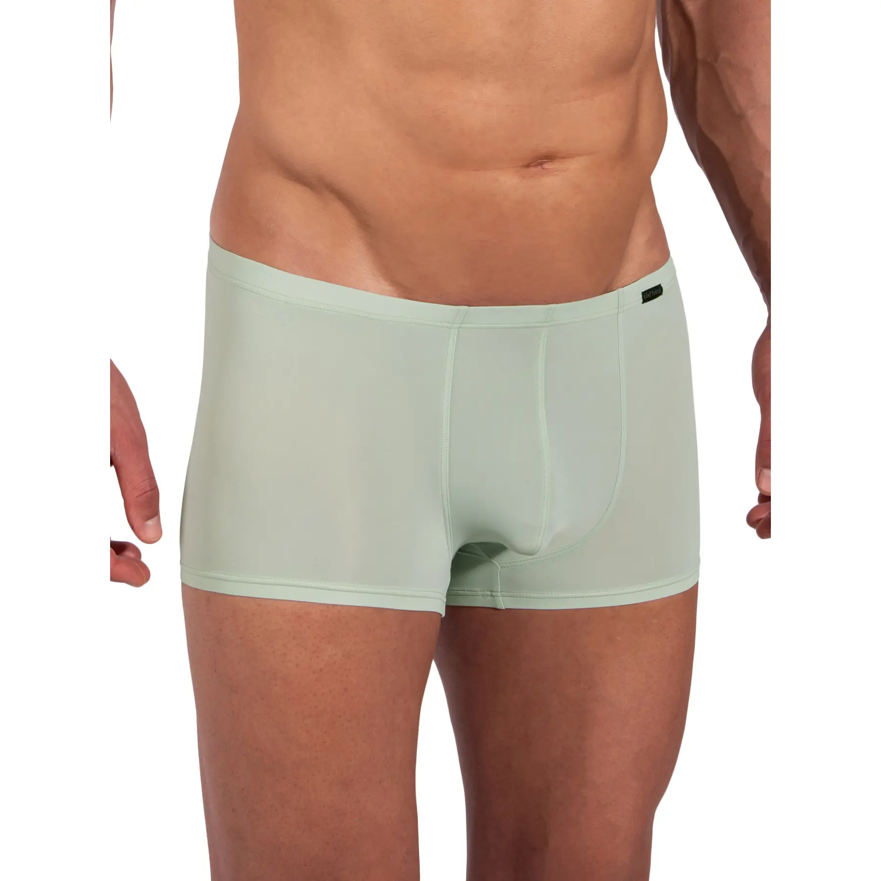 Image of Boxer Olaf Benz Red2382