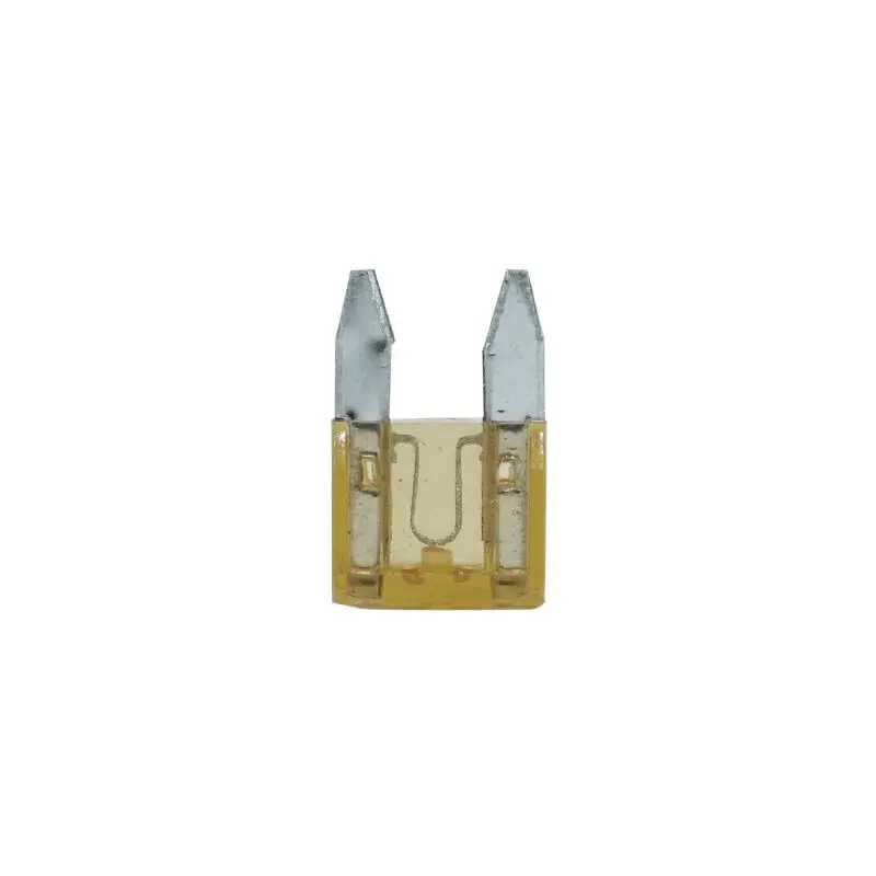 Miniatur-Steckbare Flachsicherung 10er-Pack P2R
