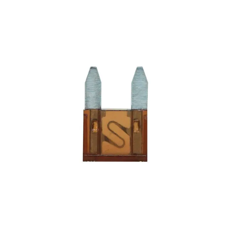 Miniatur-Steckbare Flachsicherung 10er-Pack P2R